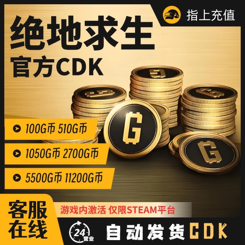 PUBGG币卡CDK绝地求生G币金币吃鸡gb游戏官方充值兑换码Steam端游