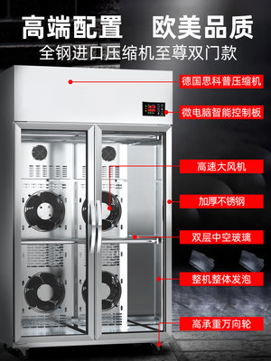 新品酒店饭店商用晾胚柜风冷晾鸭柜烤鸭风干柜烧鸭烧鹅烧腊乳鸽展