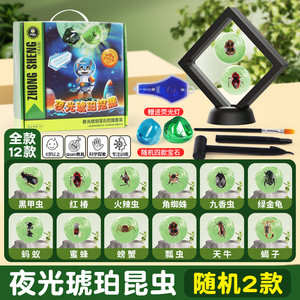 中盛儿童考古夜光琥珀昆虫标本