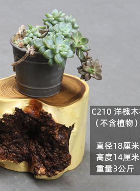 贵州天然随形树根落地原木底座