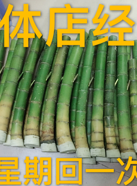 全新原竹水烟筒大碌竹原色大嘴
