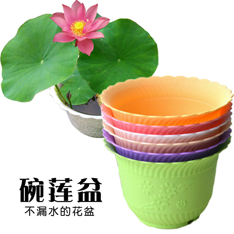 碗莲盆无孔花盆不漏水培植物花盆浮雕彩色圆形花边塑料盆树脂全新
