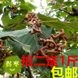 【鸡爪果图片】鸡爪果图片大全