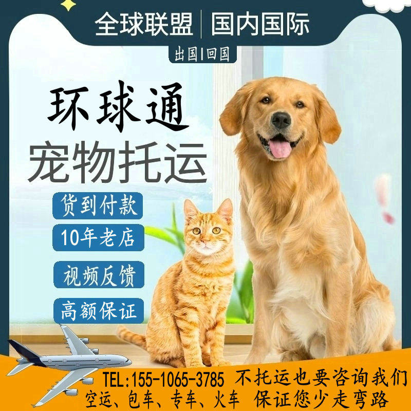 补运费宠物托运服务全国猫咪狗狗空运火专车汽运北京上海国际邮寄怎么样,好用不?