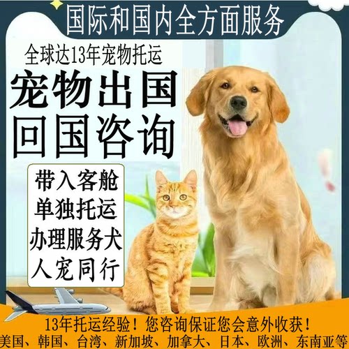 国际宠物托运出国/回国人宠同行