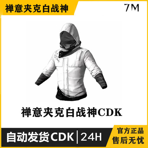 吃鸡皮肤饰品自动发货端游
