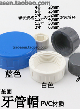 PVC内牙堵头内螺纹管帽内丝管帽闷头封帽UPVC塑料给水管件闷盖子