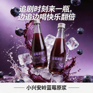 小兴安岭 伊春 蓝莓原浆