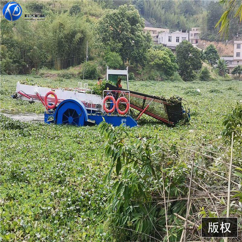 小型水草清理机 湖面清理船割草船 水浮莲水葫芦收割船,机械设备,矿山专用设备,淘宝优惠券,粉丝福利购,淘宝优惠卷