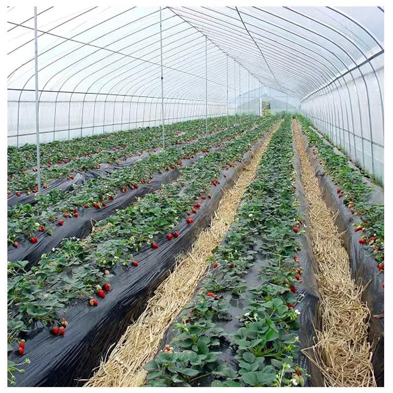 现货销售养殖大棚农业大棚草莓大棚管种植大棚管热镀锌椭圆管