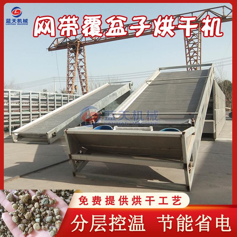 覆盆子烘干机 大型连续式覆盘子茶烘干线 无硫覆棚子干果烘干设备