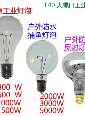 大功率工业灯泡户外防水灯泡水下灯泡300W500W1000W5000W10个包邮