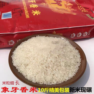 新禾御宴象牙香米5kg长粒香大米广西农家米软糯爽口