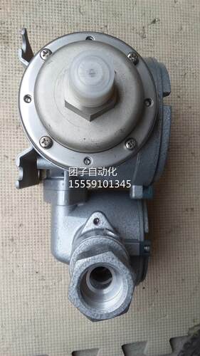 NAGANOKEIKI长野计器