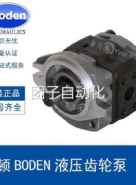 BODEN外啮合齿轮泵 BDP2.5A0D23/25/26.5/28/30/32-C0/S3/H1-F0-R