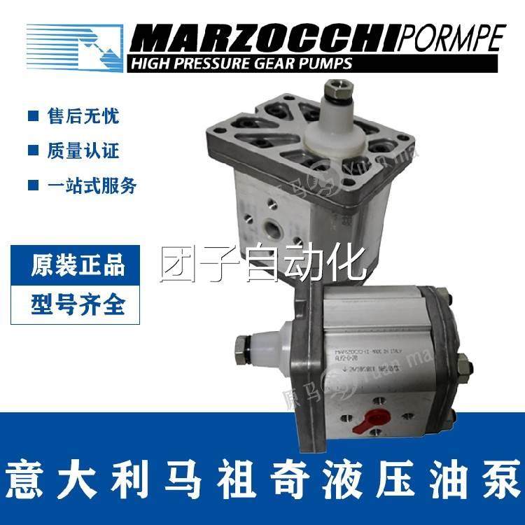 意大利MARZOCCHI齿轮泵 GHP2BK1–T GHM2–T GHM2A–T GHM2BK1 D