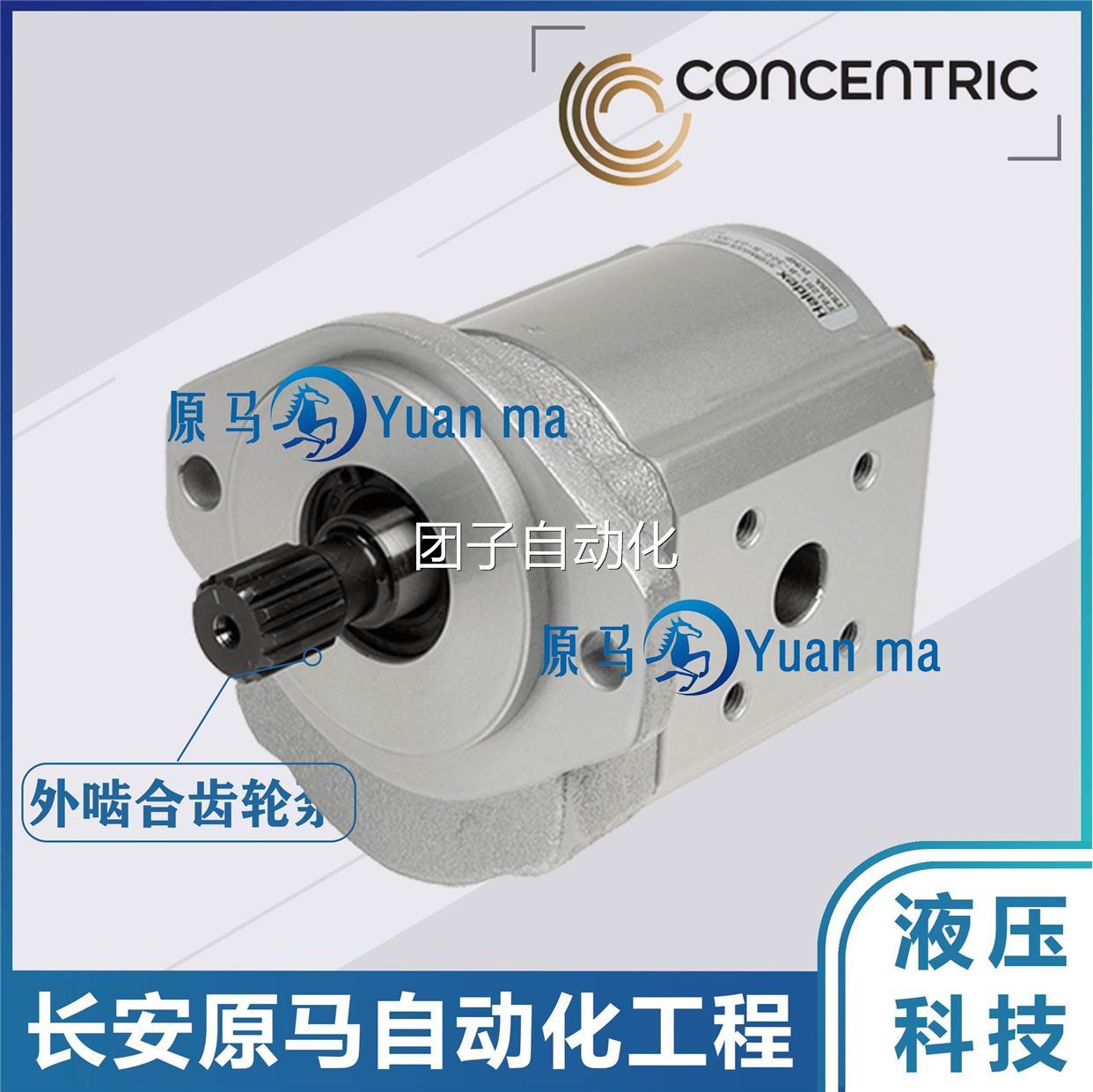 康斯克CONCENTRIC齿轮泵WP12A1B WP15A1B WQ09A1B WK09A1B 输油泵