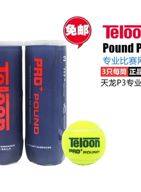 天龙Teloon网球POUND专业比赛用球专用训练球网球配件P3P4筒装1听