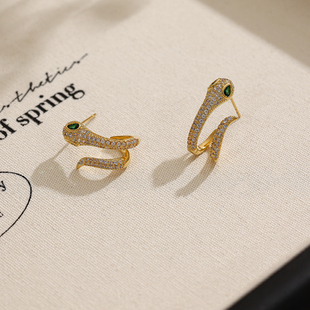 灵蛇形耳环2025新款爆款高级感巨好看的耳钉女设计感小众秋冬耳饰