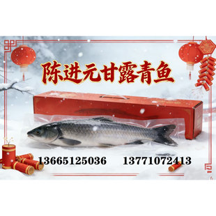 甘露青鱼现杀整条8斤净重无锡特产鹅湖甘露新鲜青鱼年货礼盒