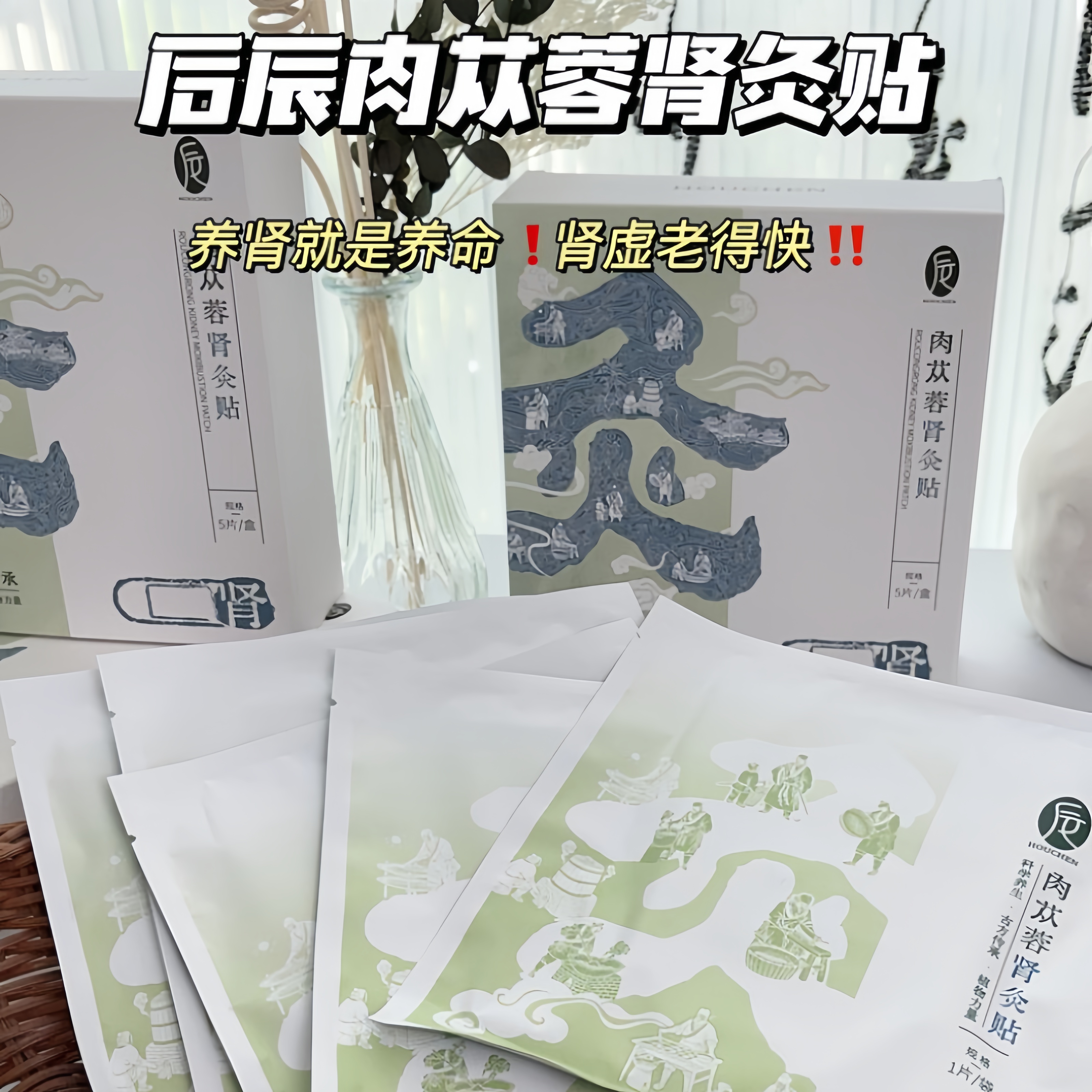 養腎就是養命后辰肉蓯蓉腎灸貼