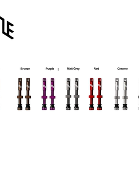 加拿大TITLE真空气嘴 Tubeless Valve  可拆卸气嘴头大进气1对2支