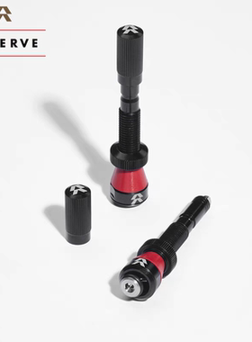 美国SantaCruz Reserve Fillmore自行车高气量真空气嘴18-28