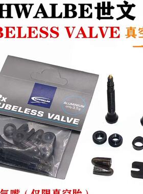 Schwalbe世文公路车 真空胎气嘴无内胎系统法嘴40mm可延长60/80MM