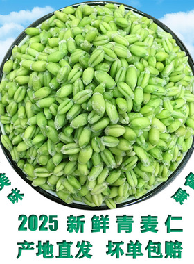 2026青麦仁新鲜嫩绿麦子小麦粒碾转去皮即食青麦穗煮粥杂粮鲜麦仁