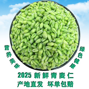 2025青麦仁新鲜嫩绿麦子小麦粒碾转去皮即食青麦穗煮粥杂粮鲜麦仁