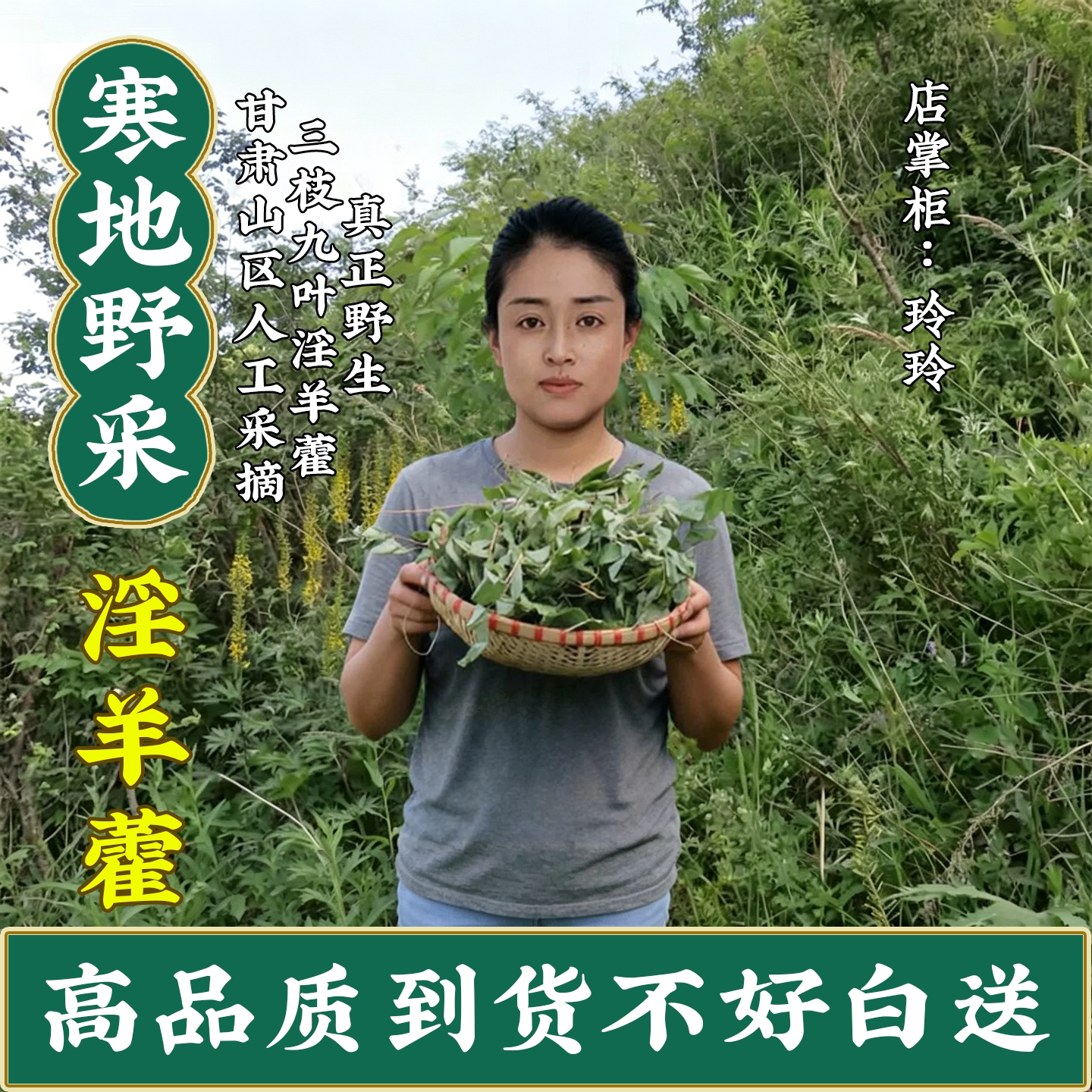 野淫羊藿叶中药材正品肉苁蓉锁阳泡酒甘肃小叶淫洋藿仙灵脾泡茶