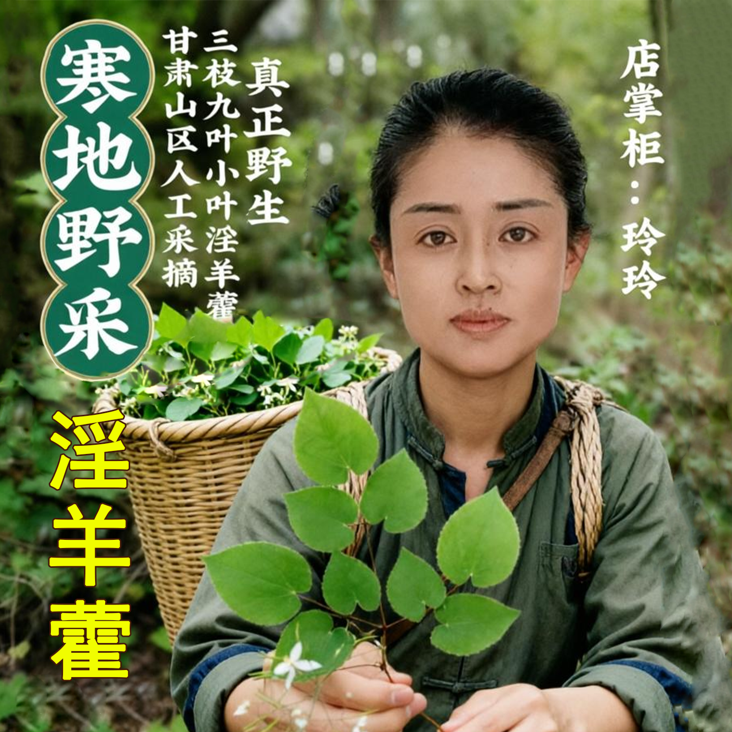 野淫羊藿叶中药材正品肉苁蓉锁阳泡酒甘肃小叶淫羊藿仙灵脾泡茶
