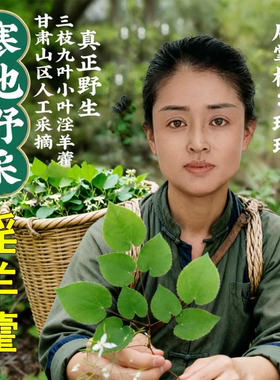 野淫羊藿叶中药材正品肉苁蓉锁阳泡酒甘肃小叶淫羊藿仙灵脾泡茶