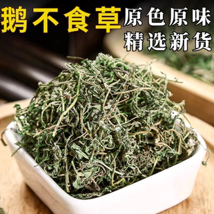 精选鹅不食草中药材500g新货鹅不食草药干鹅不吃草无硫无添加正品