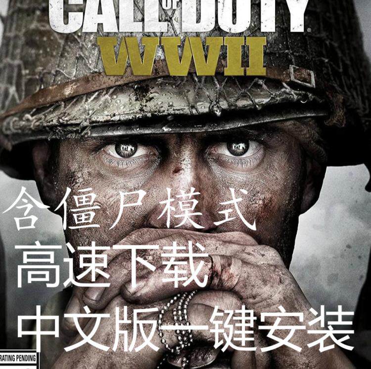 使命14二战召唤14 中文版一键安装 PC单机游戏 买2送1|msdalam kategori permainan video/Fitting/permainan/Raiders, 游戏软件平台, STEAM - dari Buy2taobao.com untuk memberikan perkhidmatan ejen Taobao profesional membeli