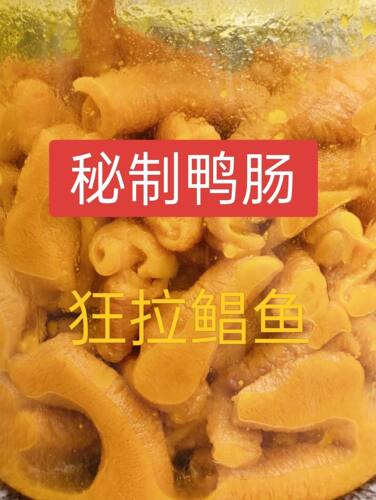 秘制鸭肠鸡肠钓鲳鱼昌鱼专用饵料叉尾红昌白鲳海钓动物内脏饲料