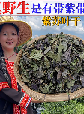 野生紫苏叶新鲜干货中药材可食用泡茶香料自晒无硫无粗杆功效好
