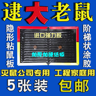 超强力粘鼠板粘板老鼠贴胶水驱灭鼠器家用连续捕鼠器笼神器工具