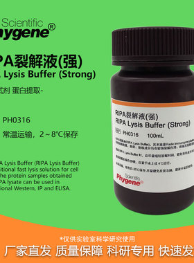 RIPA裂解液 强中弱 蛋白细胞组织裂解液 实验试剂 100ML PHYGENE