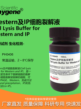 Western及IP细胞裂解液 送PMSF 100mL 免疫沉淀 [PH0406 PHYGENE]