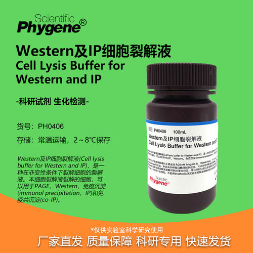 Western及IP细胞裂解液实验试剂