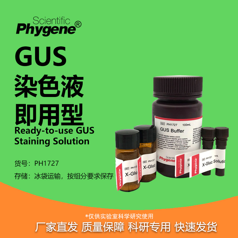 即用型GUS染色液实验专用