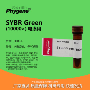 SYBR Green I 10000× 核酸电泳 核酸染料 50uL [PH0636 PHYGENE]