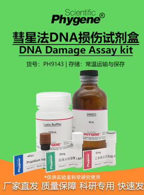 PH9143 彗星法DNA损伤检测试剂盒 DNA Damage Assay kit PHYGENE