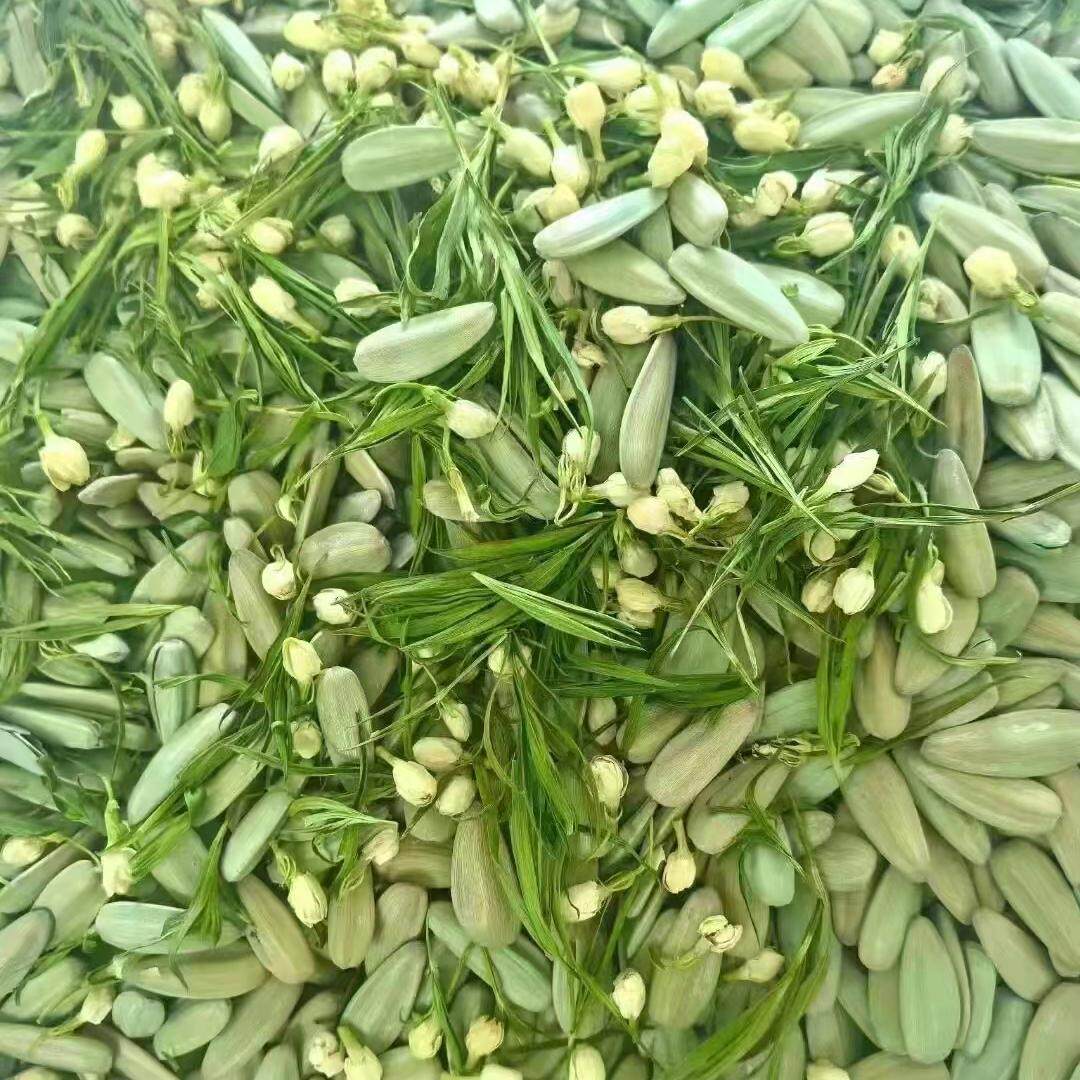 24年新货非土老茂新品 青花果缤纷口味 茉莉花茶口味竹韵茶香瓜子