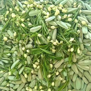 24年新货非土老茂新品 青花果缤纷口味 茉莉花茶口味竹韵茶香瓜子