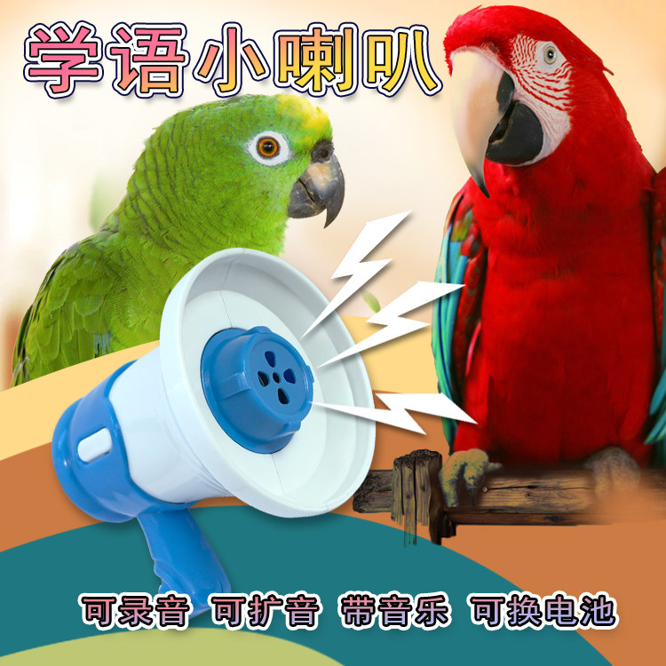 鹦鹉鸟类开口说话学话录音复读机