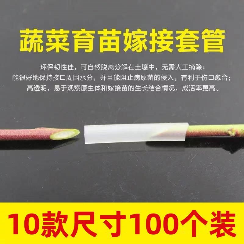 速发新手嫁接专用套管 100个套装树枝果树园易成活种植育苗工具免