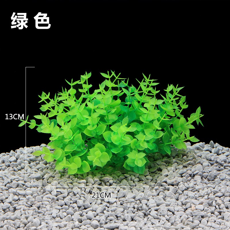 速发鱼缸水草丛鱼草坪鱼缸造景水族密款饰新装草皮加箱前景草