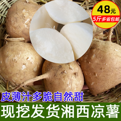 湖南凉薯地瓜脆甜多汁
